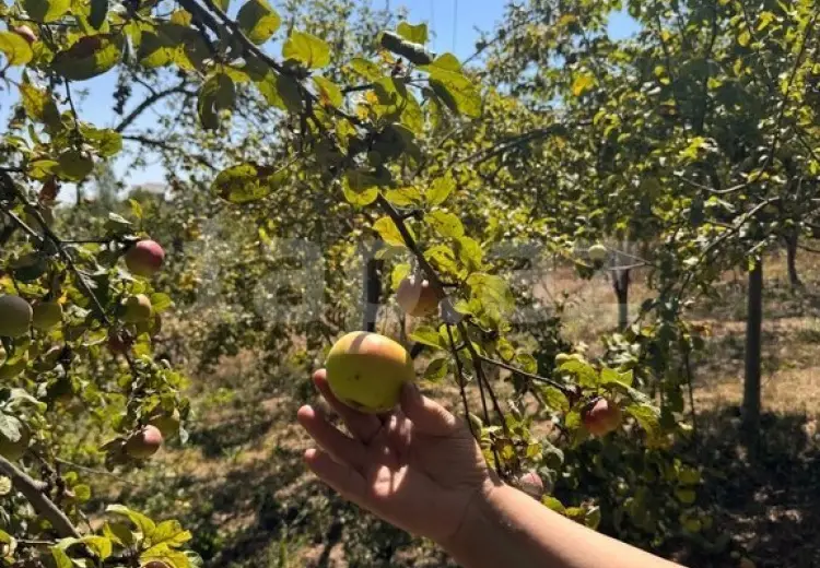 3 otaqlı mənzil , Şamaxı