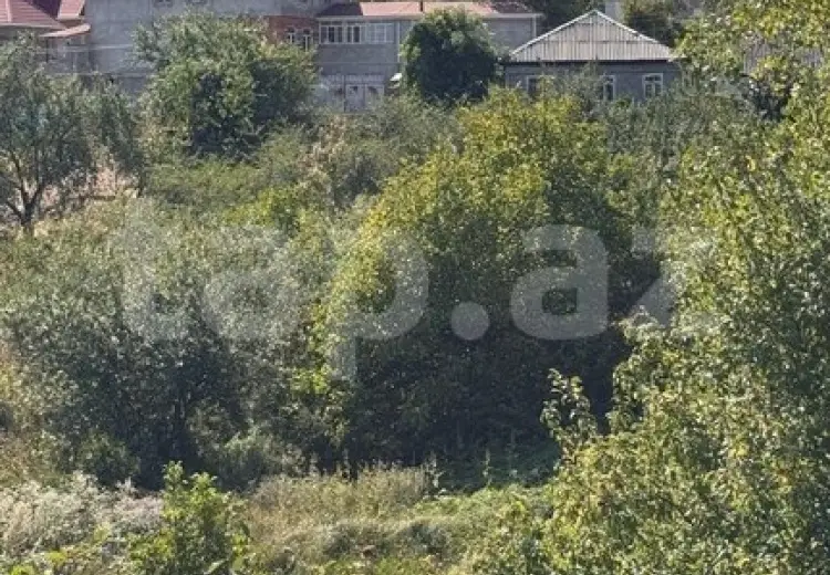 3 otaqlı mənzil , Şamaxı