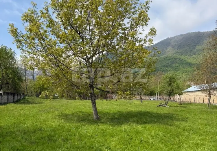 0 m² Obyekt / Ofis , Qəbələ