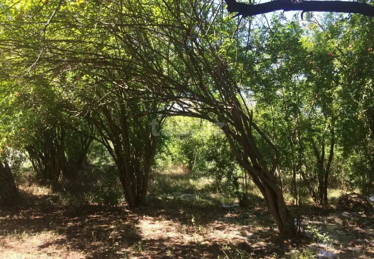 3 otaqlı mənzil , Ağdaş
