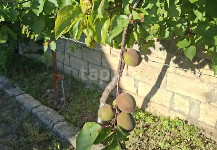 3 otaqlı mənzil , Xızı
