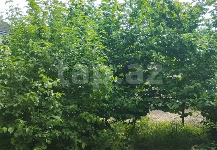 3 otaqlı mənzil , Xaçmaz