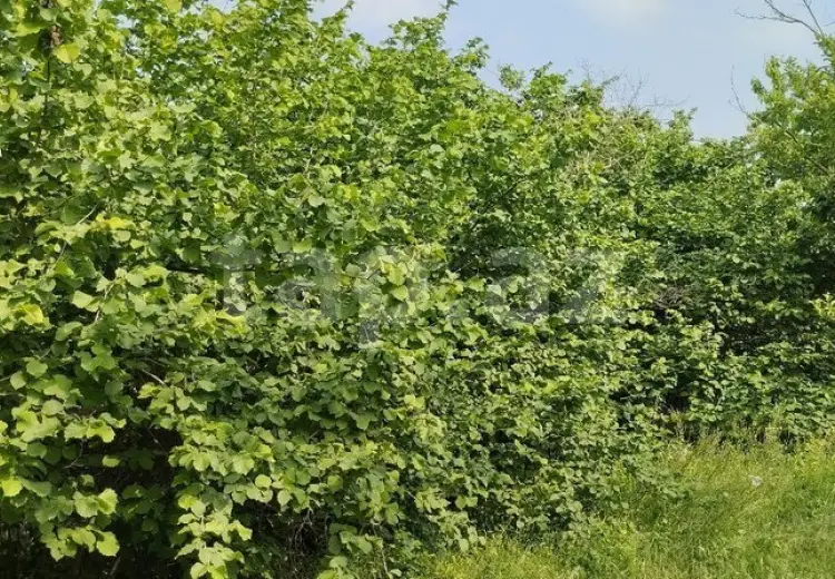 3 otaqlı mənzil , Xaçmaz