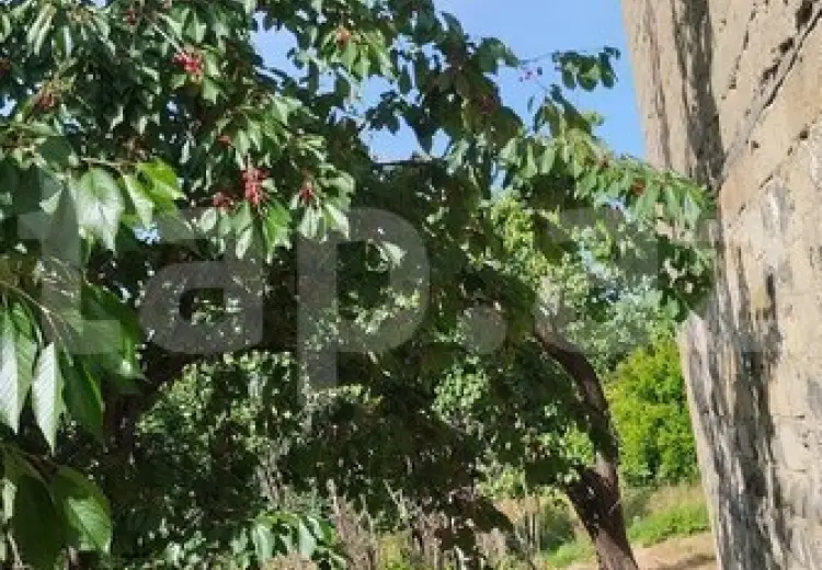 3 otaqlı mənzil , Xaçmaz