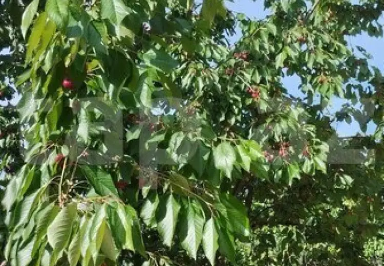 3 otaqlı mənzil , Xaçmaz
