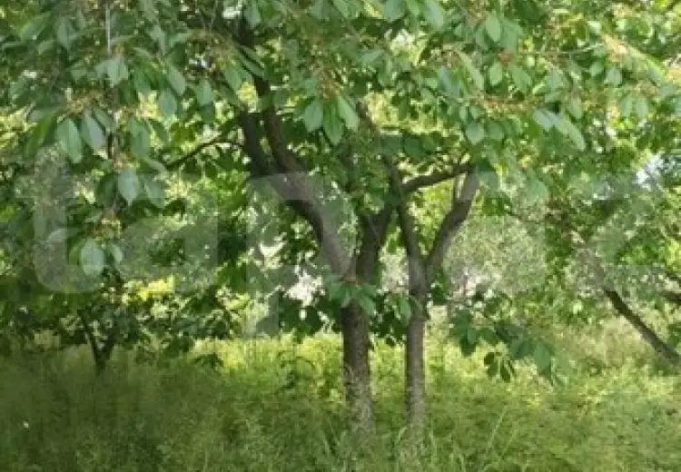 3 otaqlı mənzil , Xaçmaz