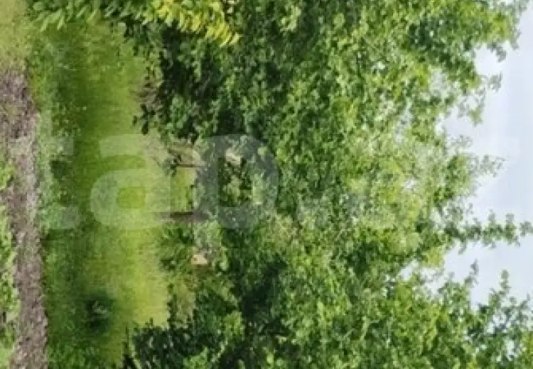 3 otaqlı mənzil , Xaçmaz