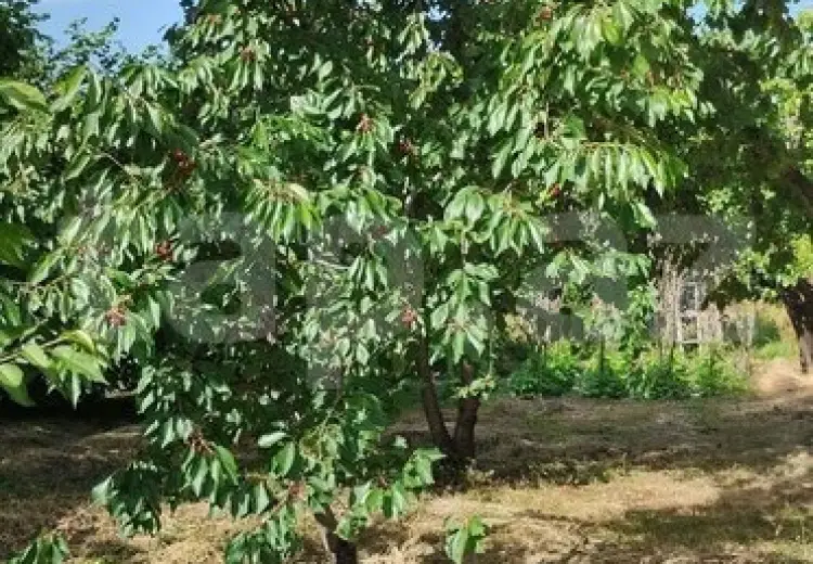 3 otaqlı mənzil , Xaçmaz