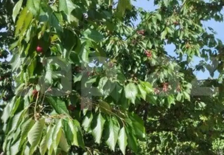 3 otaqlı mənzil , Xaçmaz