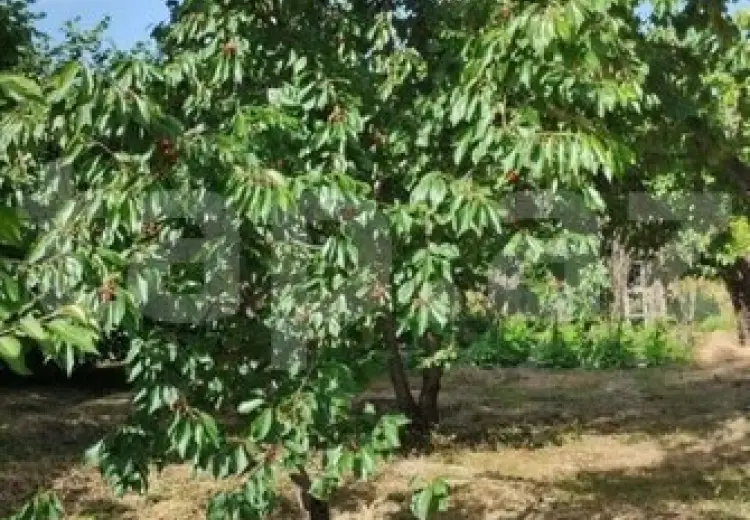 3 otaqlı mənzil , Xaçmaz