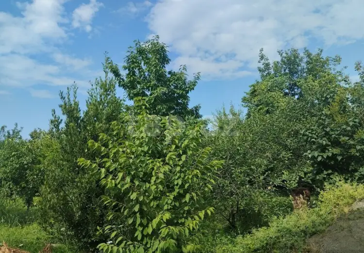 3 otaqlı mənzil , Xaçmaz