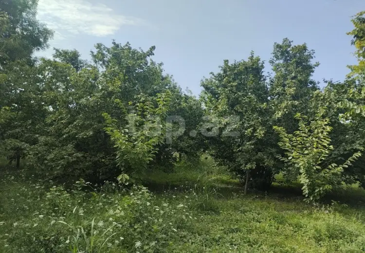 3 otaqlı mənzil , Xaçmaz