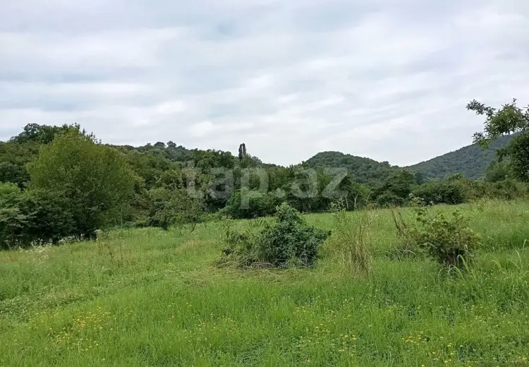 0 m² Obyekt / Ofis , Balakən