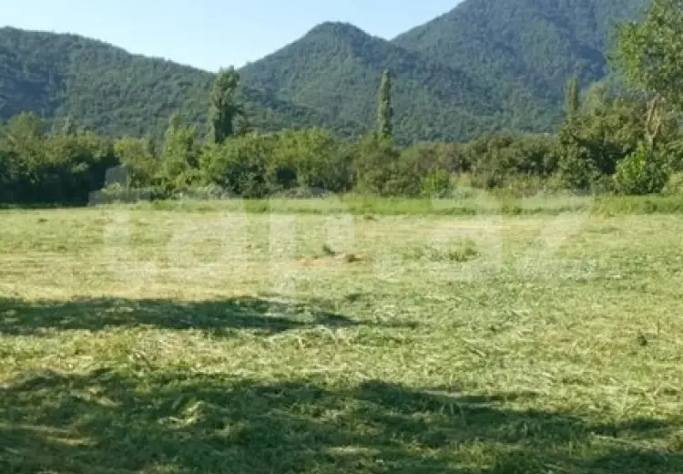 0 m² Obyekt / Ofis , Balakən