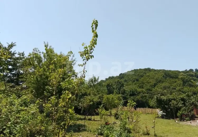 0 m² Obyekt / Ofis , Balakən