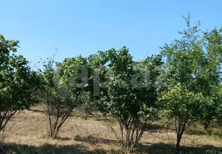0 m² Obyekt / Ofis , Xudat