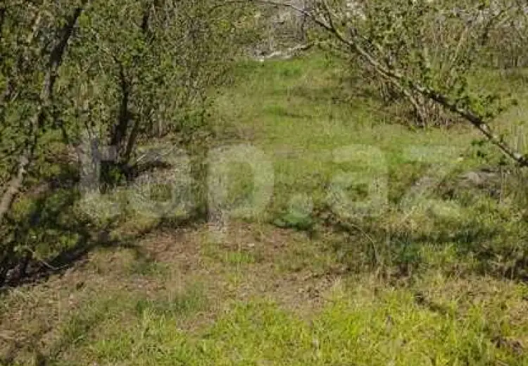 0 m² Obyekt / Ofis , Xudat