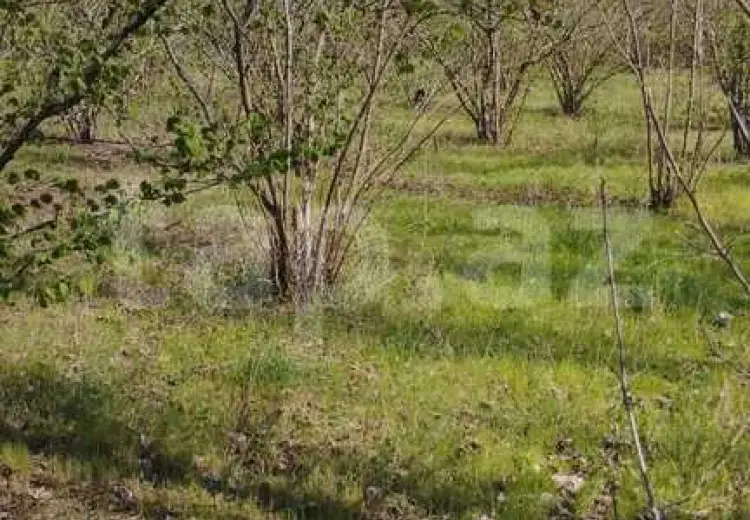 0 m² Obyekt / Ofis , Xudat