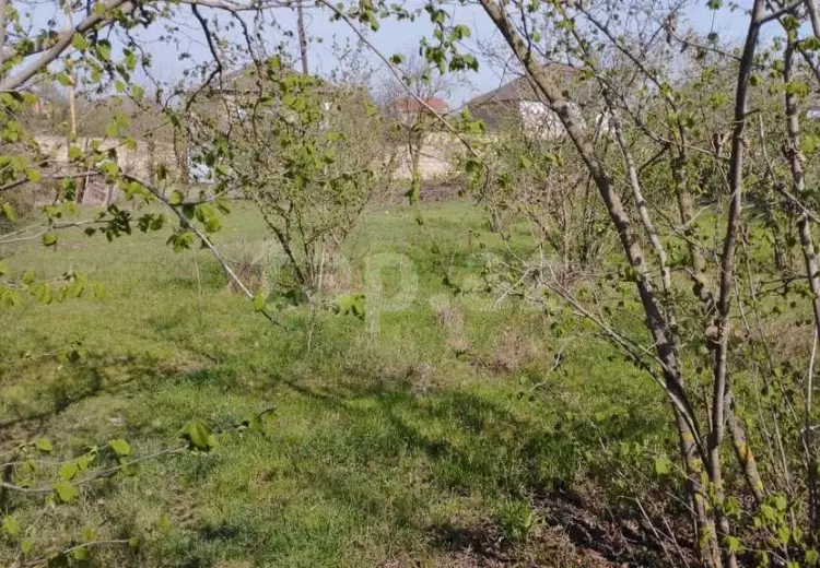0 m² Obyekt / Ofis , Xudat