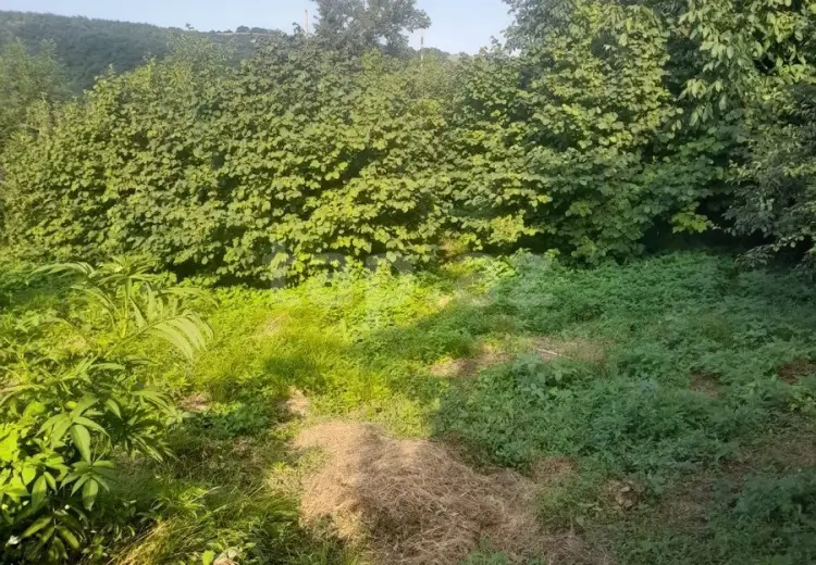 0 m² Obyekt / Ofis , Şabran