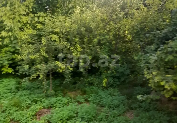 0 m² Obyekt / Ofis , Şabran