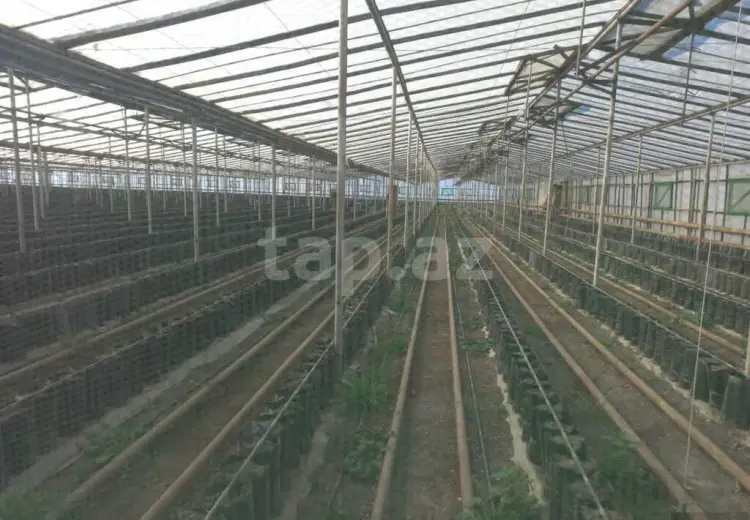 0 m² Obyekt / Ofis , Siyəzən