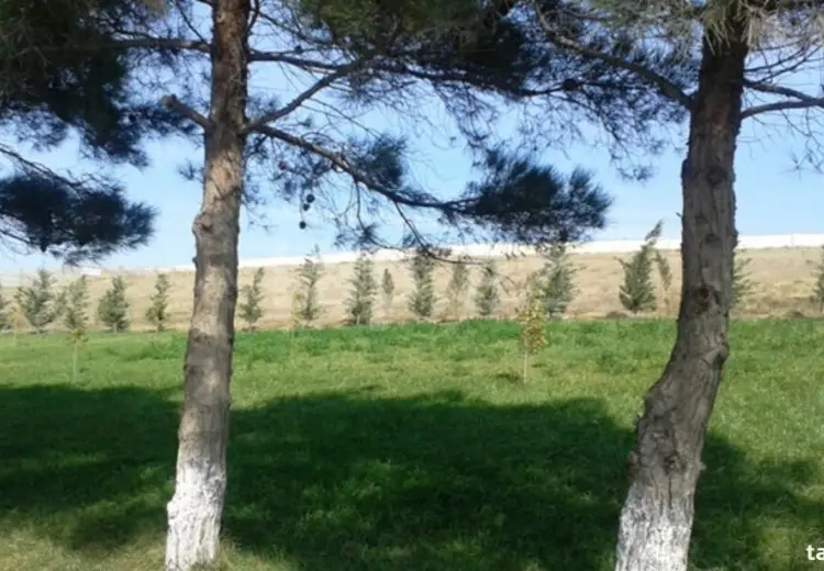 0 m² Obyekt / Ofis , Xırdalan