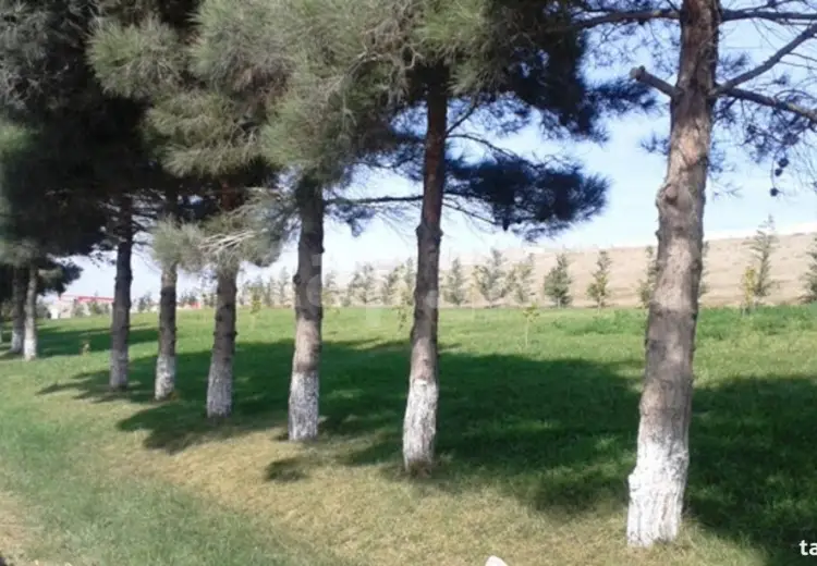 0 m² Obyekt / Ofis , Xırdalan