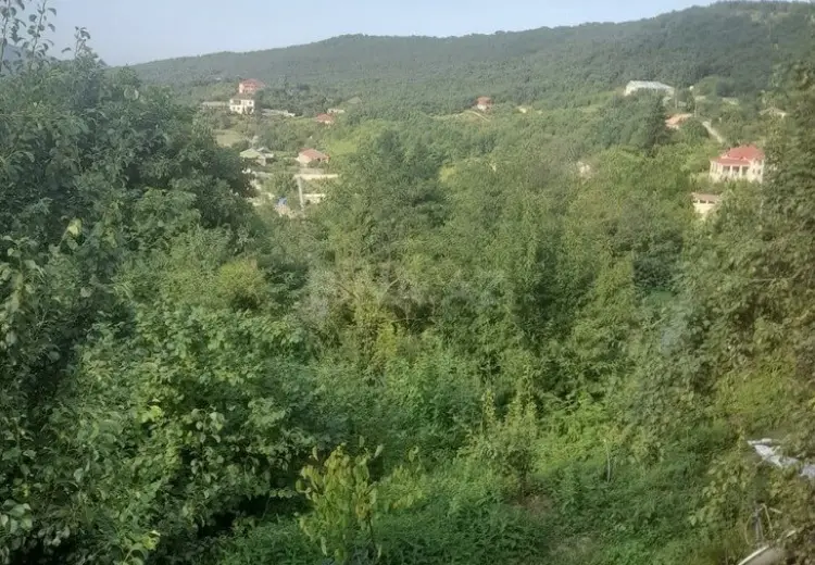 6 sot Torpaq Satılır, Şabran