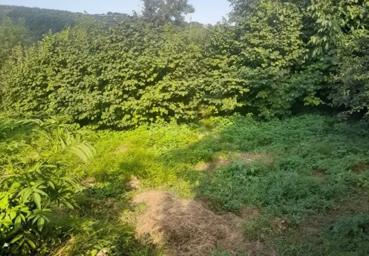 6 sot Torpaq Satılır, Şabran