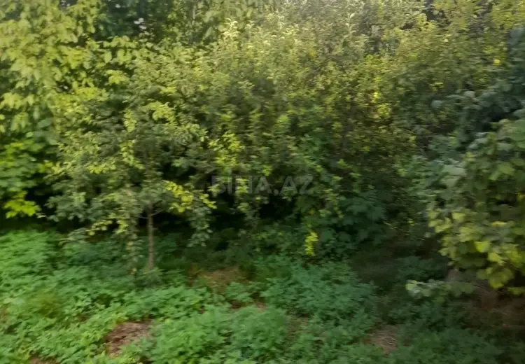 6 sot Torpaq Satılır, Şabran