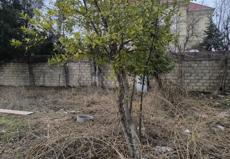 6 sot Torpaq Satılır, Fatmayı, Abşeron