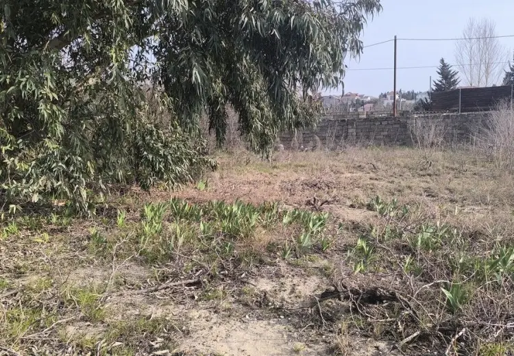 25 sot Torpaq Satılır, Novxanı, Abşeron