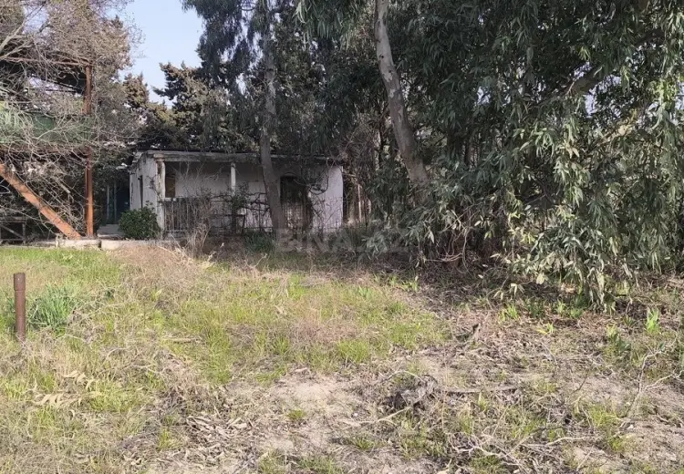 25 sot Torpaq Satılır, Novxanı, Abşeron