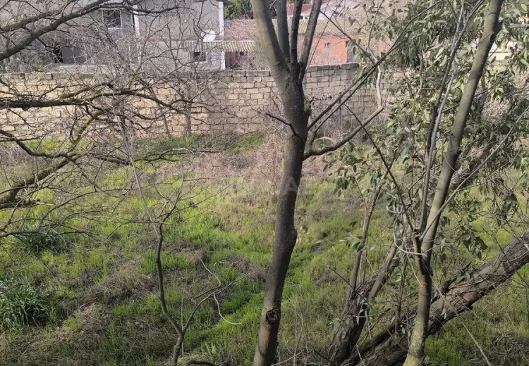 25 sot Torpaq Satılır, Novxanı, Abşeron