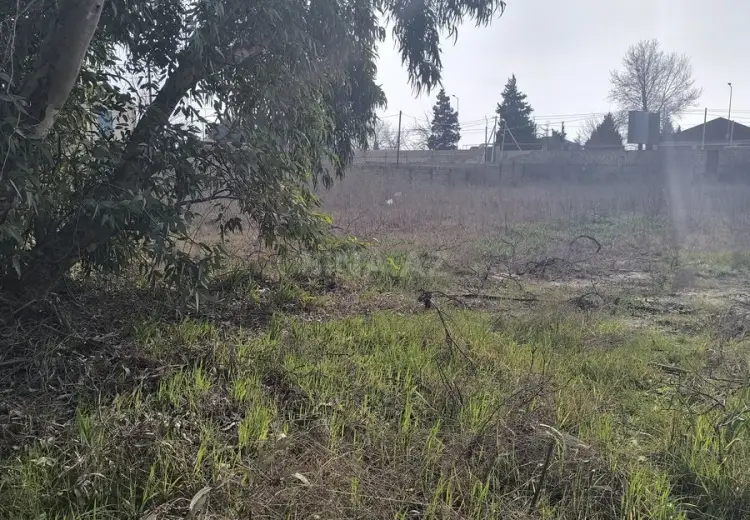 25 sot Torpaq Satılır, Novxanı, Abşeron