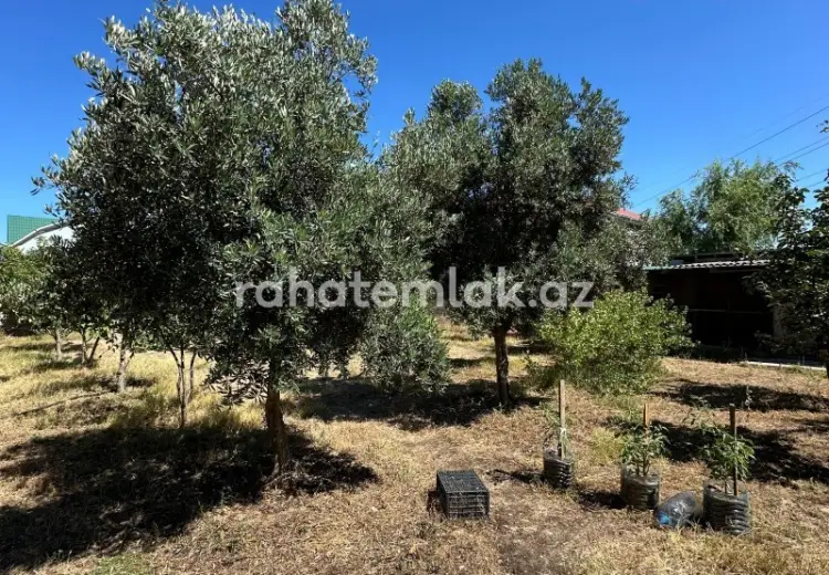 0 sot Torpaq Satılır, Buzovna, Xəzər, Bakı