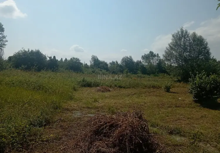 36 sot Torpaq Satılır, Qəbələ