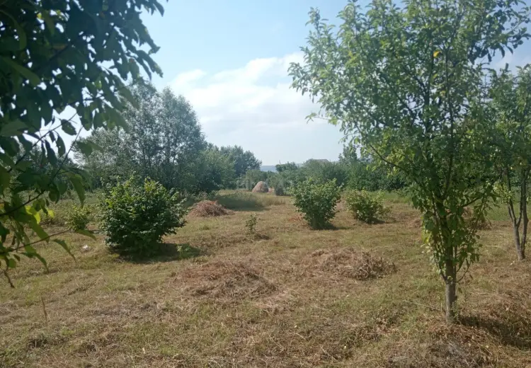 36 sot Torpaq Satılır, Qəbələ