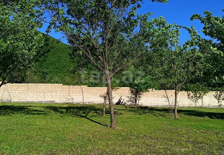 0 m² Obyekt / Ofis , Oğuz