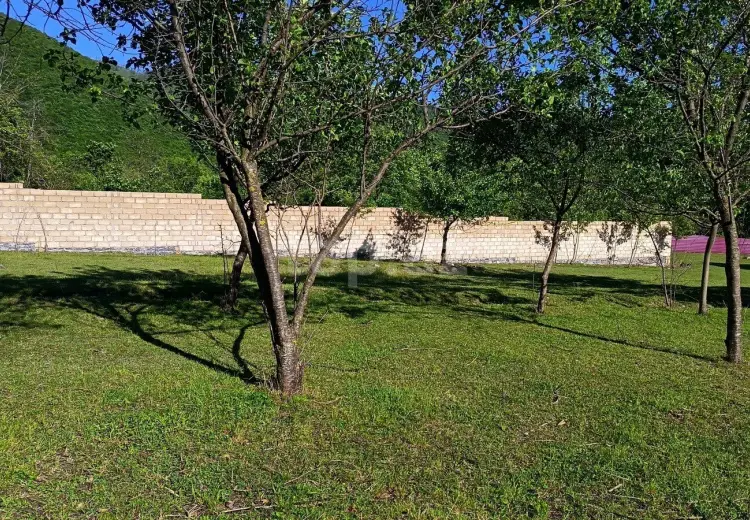 0 m² Obyekt / Ofis , Oğuz