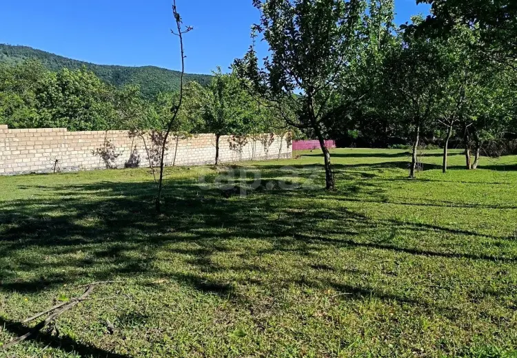 0 m² Obyekt / Ofis , Oğuz
