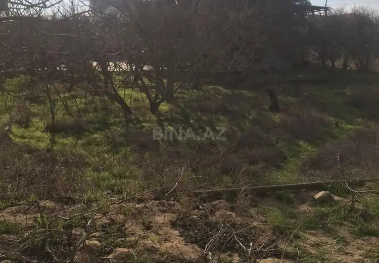 32 sot Torpaq Satılır, Nardaran qəs., Sabunçu, Bakı