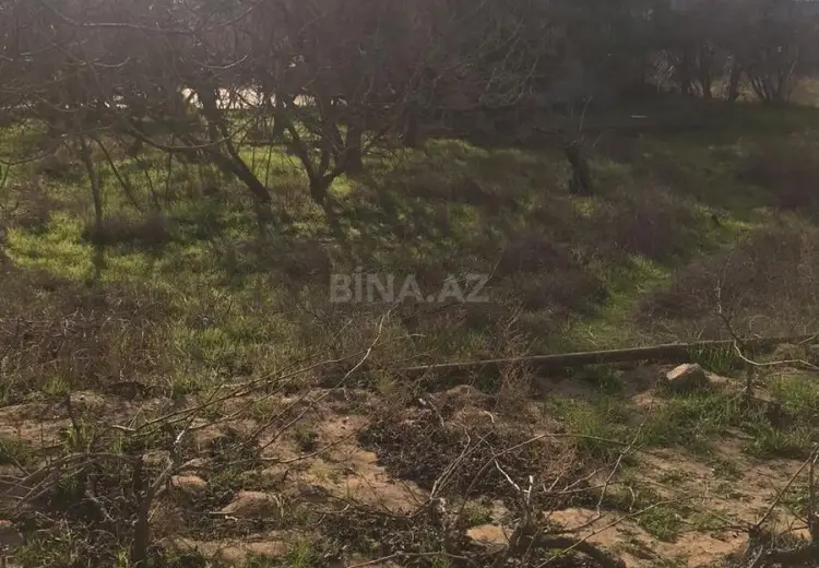 32 sot Torpaq Satılır, Nardaran qəs., Sabunçu, Bakı