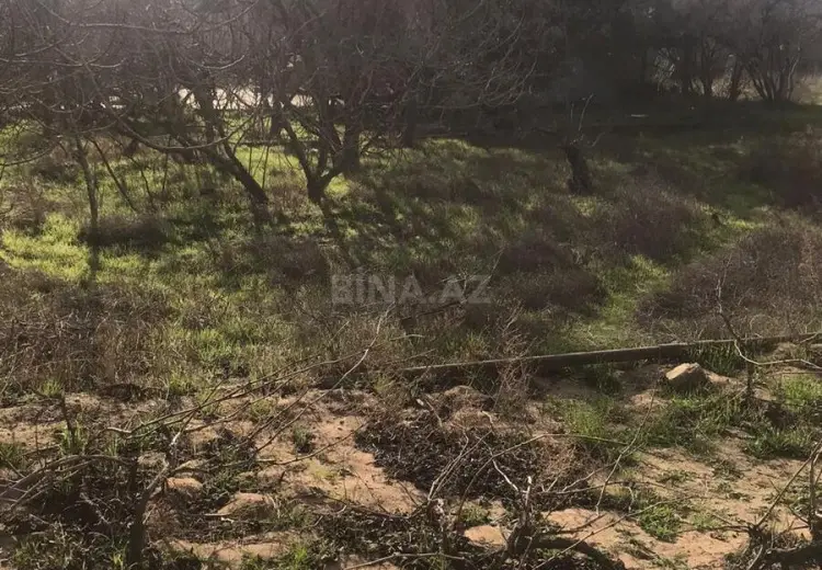 32 sot Torpaq Satılır, Nardaran qəs., Sabunçu, Bakı