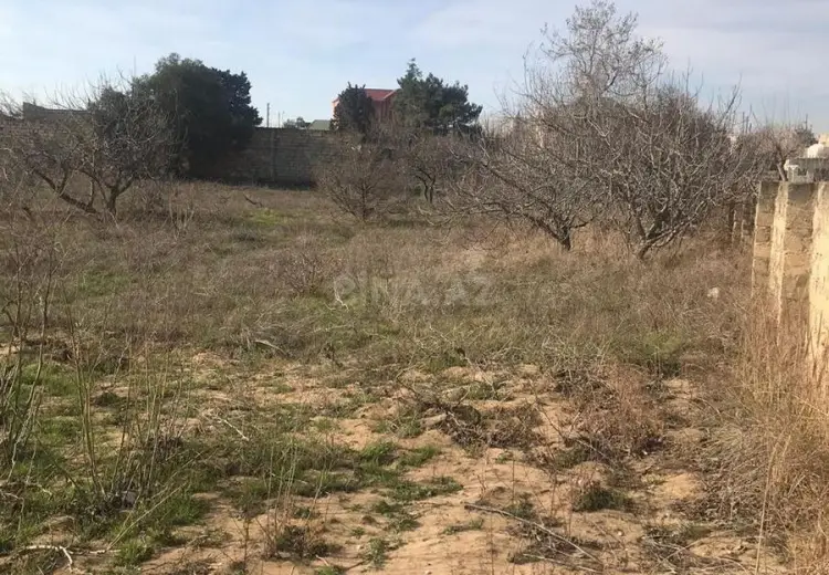 32 sot Torpaq Satılır, Nardaran qəs., Sabunçu, Bakı
