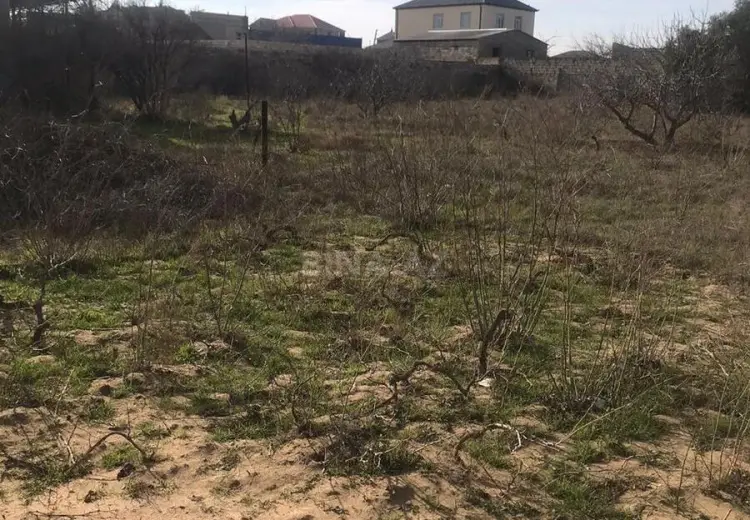 32 sot Torpaq Satılır, Nardaran qəs., Sabunçu, Bakı
