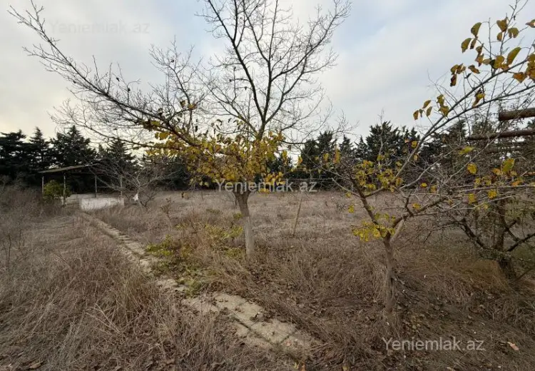 24 sot Torpaq Satılır, Şüvəlan, Xəzər, Bakı