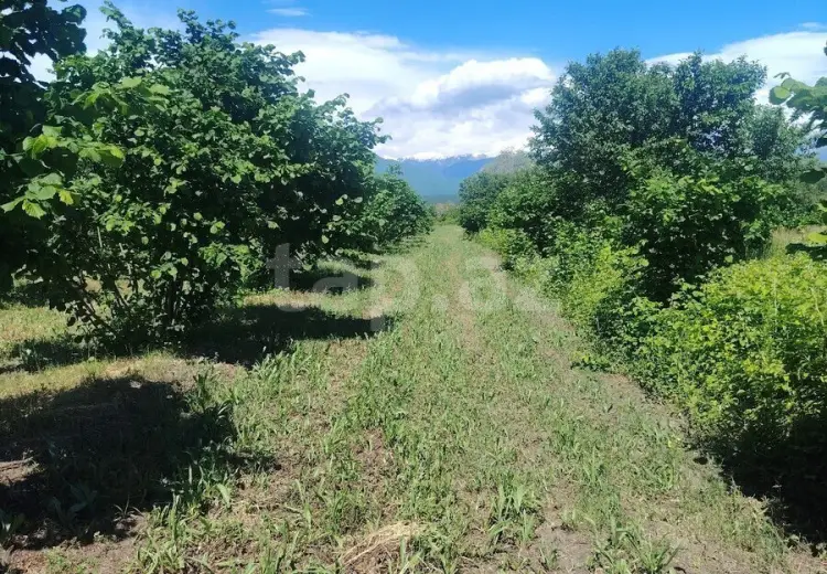 0 m² Obyekt / Ofis , Şəki
