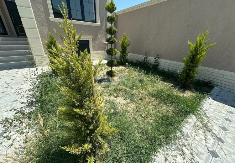 3 otaqlı mənzil , Saray, Abşeron